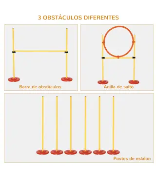 Equipo de Entrenamiento