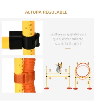 Equipo de Entrenamiento