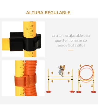 Equipo de Entrenamiento