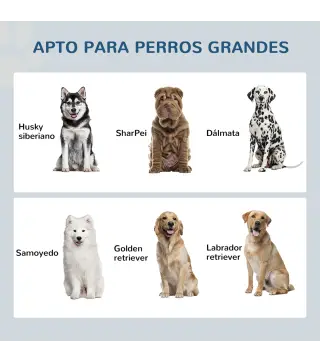 Comedero para Perros