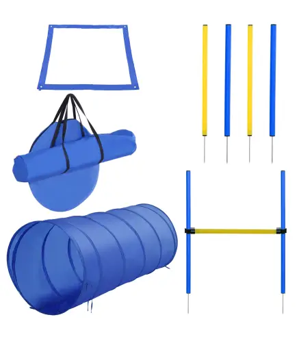 Set de Entrenamiento