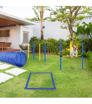 Set de Entrenamiento