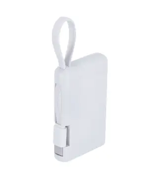 Power Bank Brandin