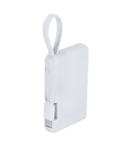 Power Bank Brandin