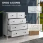 Cómoda con 5 Cajones Sifonier de Dormitorio para Salón Oficina Estudio Estilo Moderno 74x40x91 cm