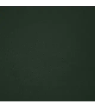 Camiseta Adulto Color