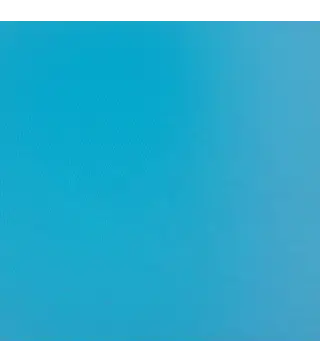 Camiseta Mujer Color