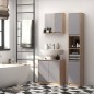 Armario de Baño Armario de Baño