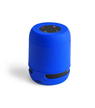 Altavoz Braiss