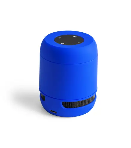 Altavoz Braiss