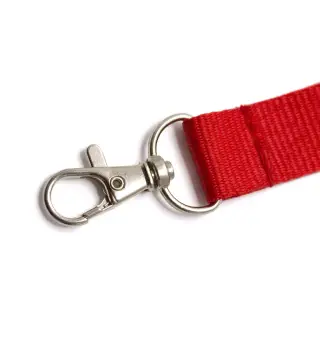 Lanyard