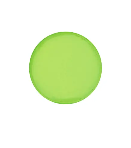 Frisbee