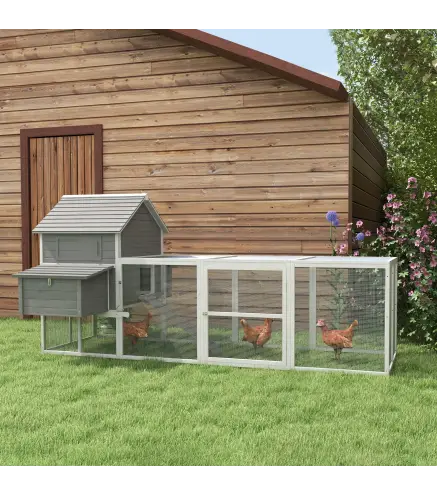 Gallinero de Madera 310,5x149,5x149cm Jaula para 4-6 Gallinas con 2 Ventanas Puertas Nido Bandeja Extraíble y Rampa Gris
