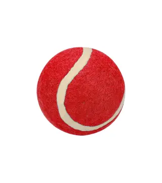 Pelota