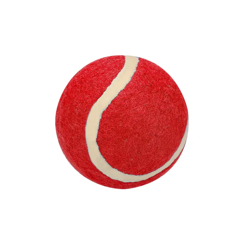 Pelota