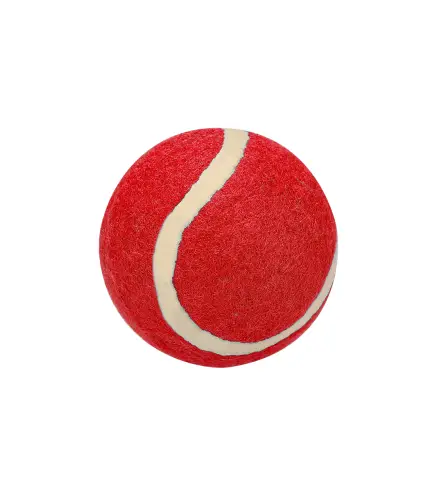 Pelota