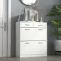 Mueble Zapatero Estrecho Armario de Zapatos con 2 Cajones Abatibles para 12 Pares de Zapatos 80x30x91,5 cm Blanco