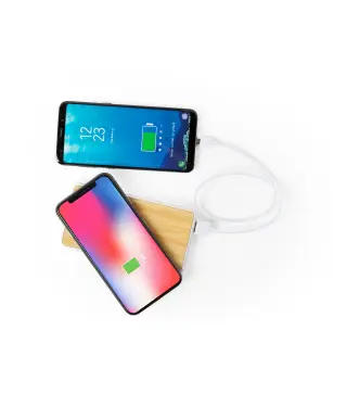 Power Bank Dickens