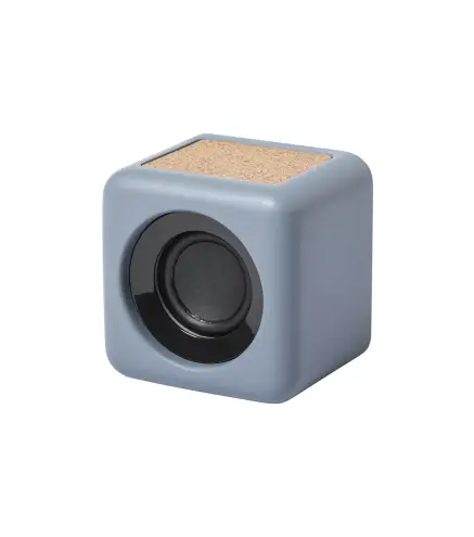 Altavoz Seynol