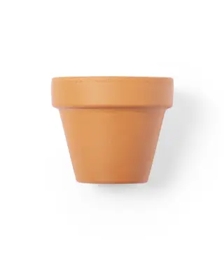 Maceta