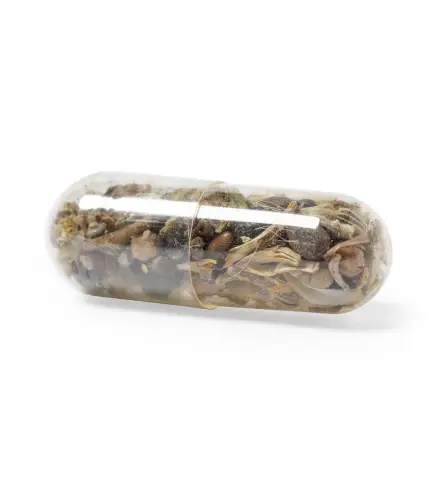 Capsula Semillas Biyok