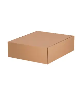 Caja Presentacion
