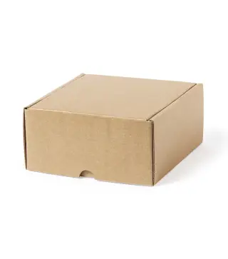 Caja Presentacion