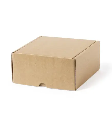 Caja Presentacion