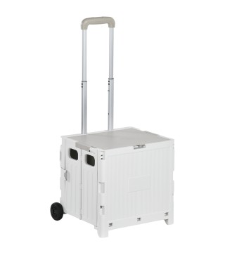 Carrito de Compra