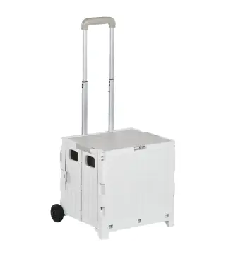 Carrito de Compra