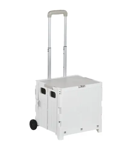 Carrito de Compra
