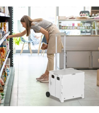 Carrito de Compra