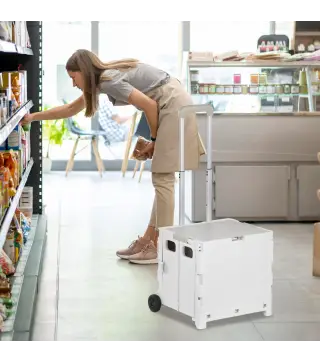 Carrito para Supermercado con 2 Ruedas Longitud de Mango Ajustable Capacidad 32 Litros 41,5x32,5x85 cm Blanco