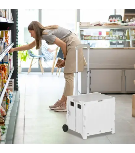 Carrito para Supermercado con 2 Ruedas Longitud de Mango Ajustable Capacidad 32 Litros 41,5x32,5x85 cm Blanco