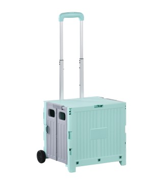 Carrito de Compra