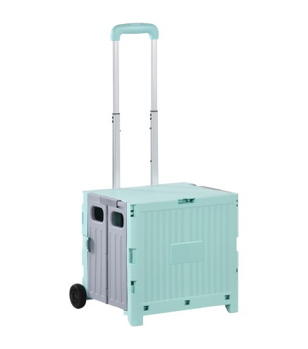 Carrito de Compra