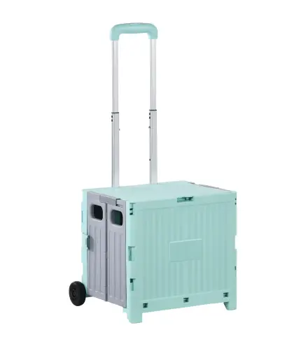 Carrito de Compra
