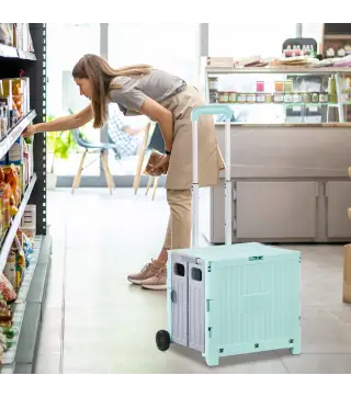 Carrito para Supermercado con 2 Ruedas Longitud de Mango Ajustable Capacidad 32 Litros 41,5x32,5x85 cm Verde