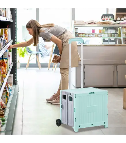 Carrito para Supermercado con 2 Ruedas Longitud de Mango Ajustable Capacidad 32 Litros 41,5x32,5x85 cm Verde