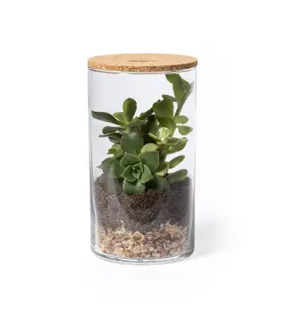 Terrarium Anymak