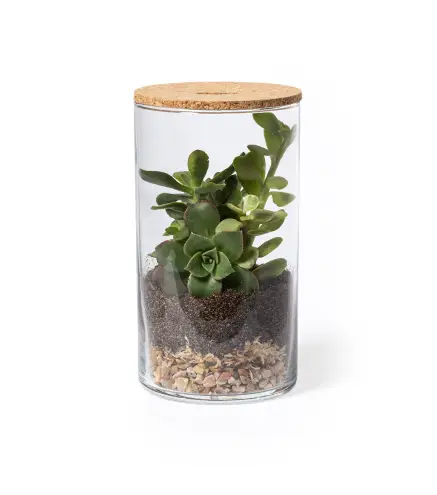 Terrarium Anymak