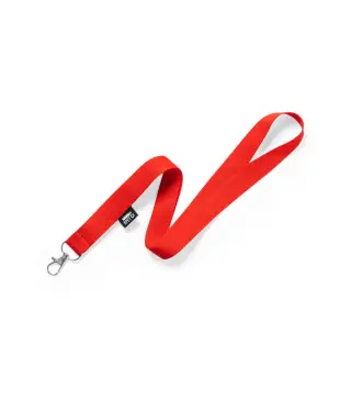 Lanyard