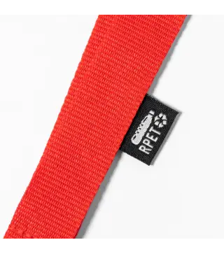 Lanyard
