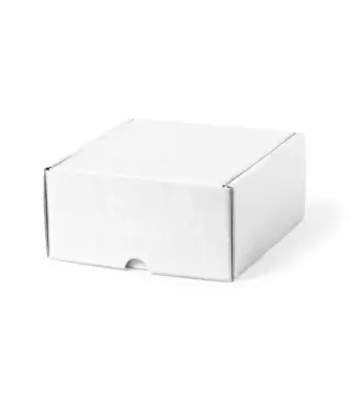 Caja Presentacion