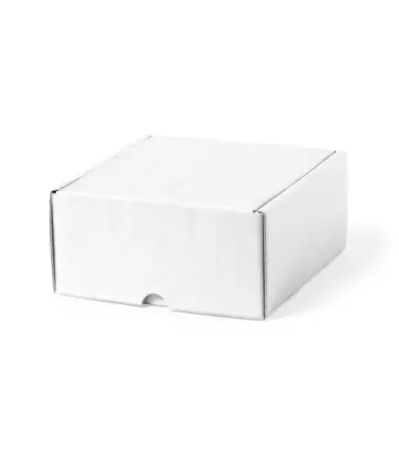 Caja Presentacion