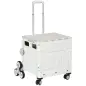 Carrito de la Compra Plegable con 2 Ruedas para Subir Escaleras Ángulo y Longitud de Mango Ajustable 48x43x95 cm Blanco