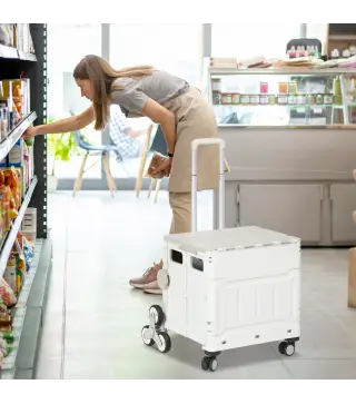 Carrito de la Compra Plegable con 2 Ruedas para Subir Escaleras Ángulo y Longitud de Mango Ajustable 48x43x95 cm Blanco