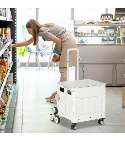 Carrito de Compra