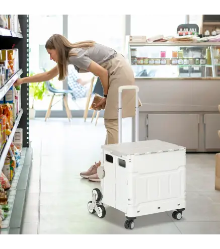 Carrito de la Compra Plegable con 2 Ruedas para Subir Escaleras Ángulo y Longitud de Mango Ajustable 48x43x95 cm Blanco