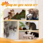Árbol para Gatos Árbol para Gatos